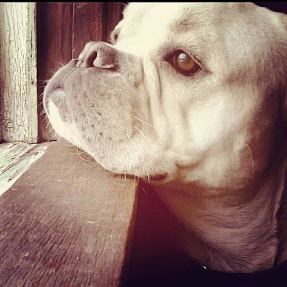 Meet your Posher, Ashley - Picture 2 of 2